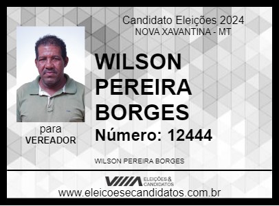 Candidato WILSON PEREIRA BORGES 2024 - NOVA XAVANTINA - Eleições