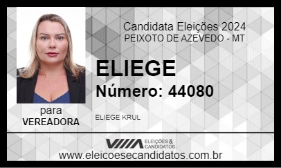 Candidato ELIEGE 2024 - PEIXOTO DE AZEVEDO - Eleições