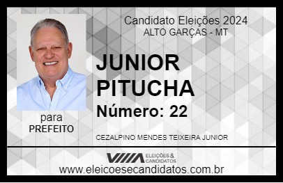 Candidato JUNIOR PITUCHA 2024 - ALTO GARÇAS - Eleições