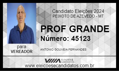 Candidato PROF GRANDE 2024 - PEIXOTO DE AZEVEDO - Eleições