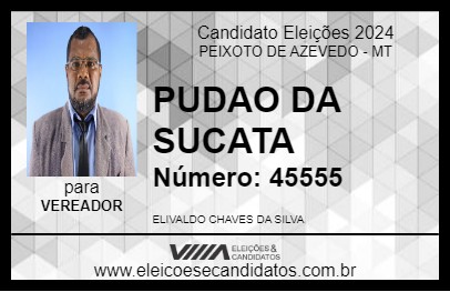 Candidato PUDAO DA SUCATA 2024 - PEIXOTO DE AZEVEDO - Eleições