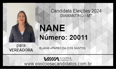 Candidato NANE 2024 - DIAMANTINO - Eleições