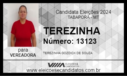 Candidato TEREZINHA 2024 - TABAPORÃ - Eleições