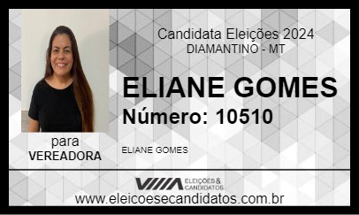 Candidato ELIANE GOMES 2024 - DIAMANTINO - Eleições