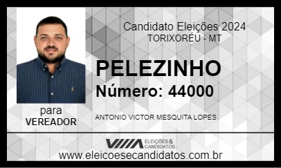 Candidato PELEZINHO 2024 - TORIXORÉU - Eleições