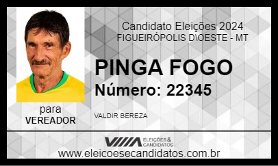 Candidato PINGA FOGO 2024 - FIGUEIRÓPOLIS D\OESTE - Eleições