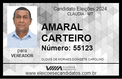 Candidato AMARAL CARTEIRO 2024 - CLÁUDIA - Eleições