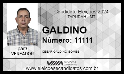 Candidato GALDINO 2024 - TAPURAH - Eleições