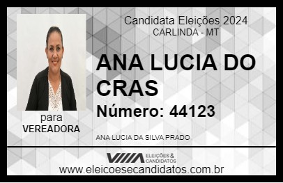 Candidato ANA LUCIA 2024 - CARLINDA - Eleições