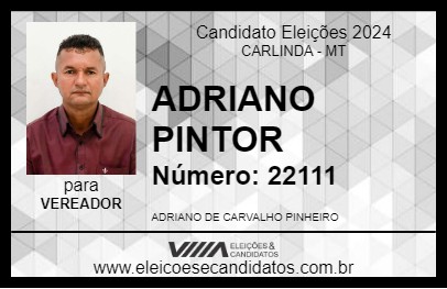 Candidato ADRIANO PINTOR 2024 - CARLINDA - Eleições