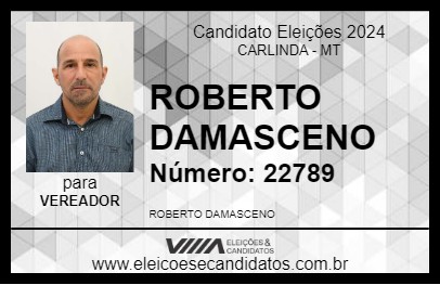 Candidato ROBERTO DAMASCENO 2024 - CARLINDA - Eleições