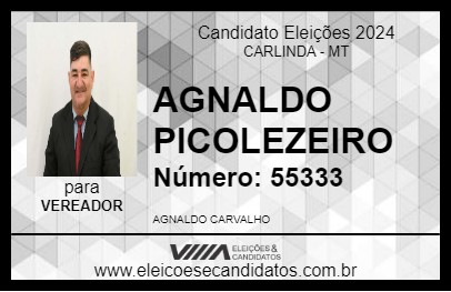 Candidato AGNALDO PICOLEZEIRO 2024 - CARLINDA - Eleições