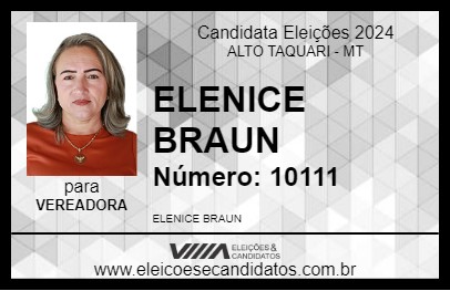 Candidato ELENICE BRAUN 2024 - ALTO TAQUARI - Eleições