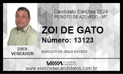 Candidato ZOI DE GATO 2024 - PEIXOTO DE AZEVEDO - Eleições