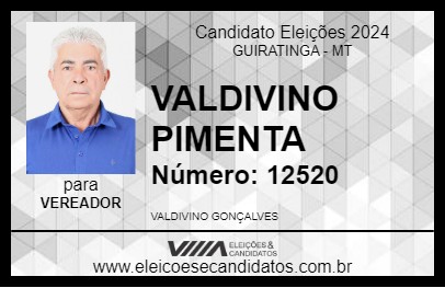 Candidato VALDIVINO PIMENTA 2024 - GUIRATINGA - Eleições