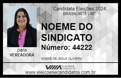 Candidato NOEME DO SINDICATO 2024 - BRASNORTE - Eleições