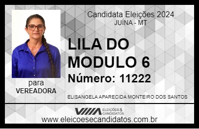 Candidato LILA DO MODULO 6 2024 - JUÍNA - Eleições