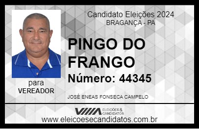 Candidato PINGO DO FRANGO 2024 - BRAGANÇA - Eleições