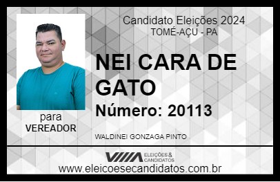 Candidato NEI CARA DE GATO 2024 - TOMÉ-AÇU - Eleições