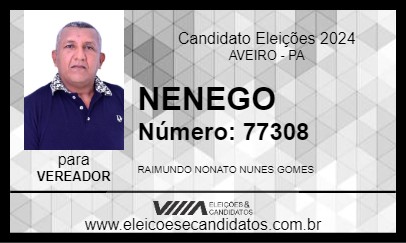 Candidato NENEGO 2024 - AVEIRO - Eleições