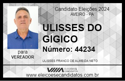 Candidato ULISSES DO GIGICO 2024 - AVEIRO - Eleições