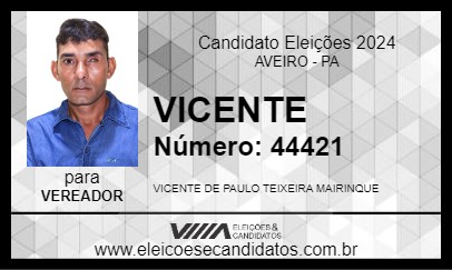 Candidato VICENTE 2024 - AVEIRO - Eleições