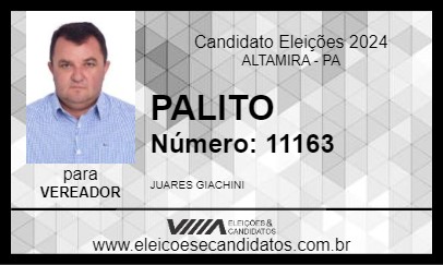 Candidato PALITO 2024 - ALTAMIRA - Eleições