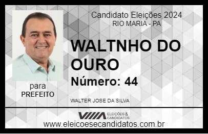 Candidato WALTINHO DO OURO 2024 - RIO MARIA - Eleições