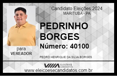 Candidato PEDRINHO BORGES 2024 - MARITUBA - Eleições