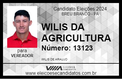 Candidato WILIS DA AGRICULTURA 2024 - BREU BRANCO - Eleições