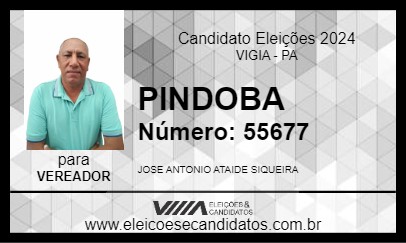 Candidato PINDOBA 2024 - VIGIA - Eleições