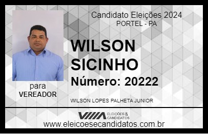 Candidato WILSON SICINHO 2024 - PORTEL - Eleições