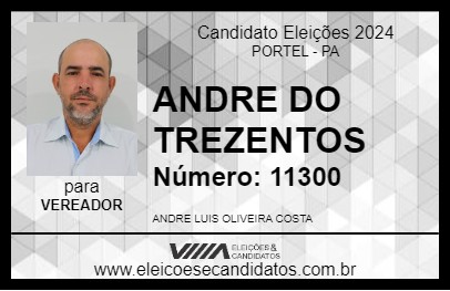 Candidato ANDRE DO TREZENTOS 2024 - PORTEL - Eleições