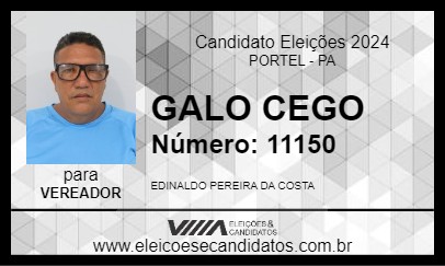 Candidato GALO CEGO 2024 - PORTEL - Eleições