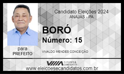 Candidato BORÓ 2024 - ANAJÁS - Eleições