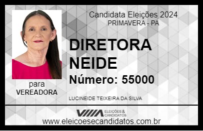 Candidato DIRETORA NEIDE 2024 - PRIMAVERA - Eleições