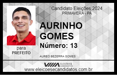 Candidato AURINHO GOMES 2024 - PRIMAVERA - Eleições