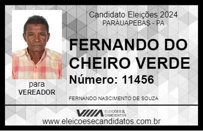 Candidato FERNANDO DO CHEIRO VERDE 2024 - PARAUAPEBAS - Eleições