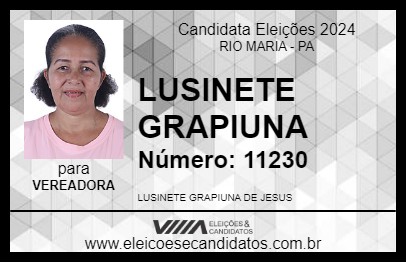 Candidato LUSINETE GRAPIUNA 2024 - RIO MARIA - Eleições