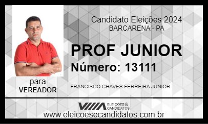 Candidato PROF JUNIOR 2024 - BARCARENA - Eleições