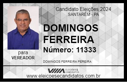 Candidato DOMINGOS FERREIRA 2024 - SANTARÉM - Eleições