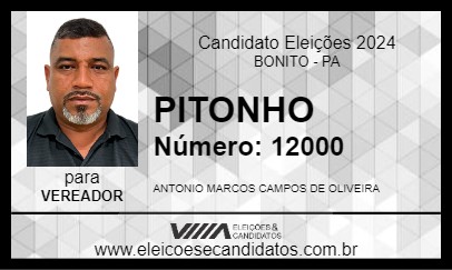 Candidato PITONHO 2024 - BONITO - Eleições