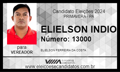 Candidato ELIELSON INDIO 2024 - PRIMAVERA - Eleições