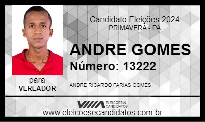 Candidato ANDRE GOMES 2024 - PRIMAVERA - Eleições