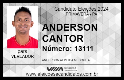 Candidato ANDERSON CANTOR 2024 - PRIMAVERA - Eleições