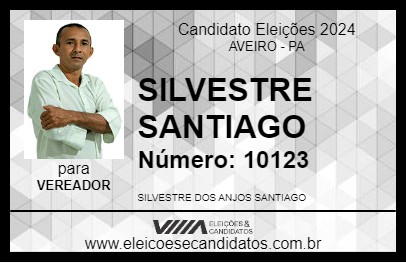 Candidato SILVESTRE SANTIAGO 2024 - AVEIRO - Eleições