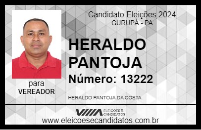 Candidato HERALDO PANTOJA 2024 - GURUPÁ - Eleições