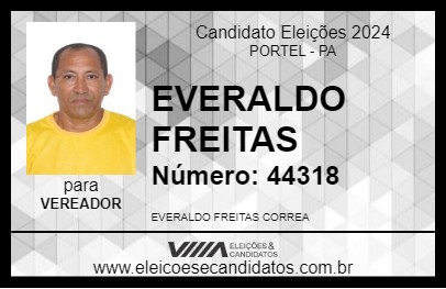 Candidato EVERALDO FREITAS 2024 - PORTEL - Eleições