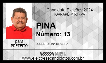 Candidato PINA 2024 - IGARAPÉ-MIRI - Eleições