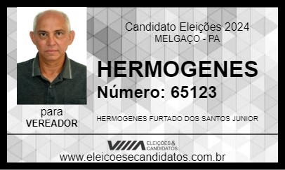 Candidato HERMOGENES 2024 - MELGAÇO - Eleições